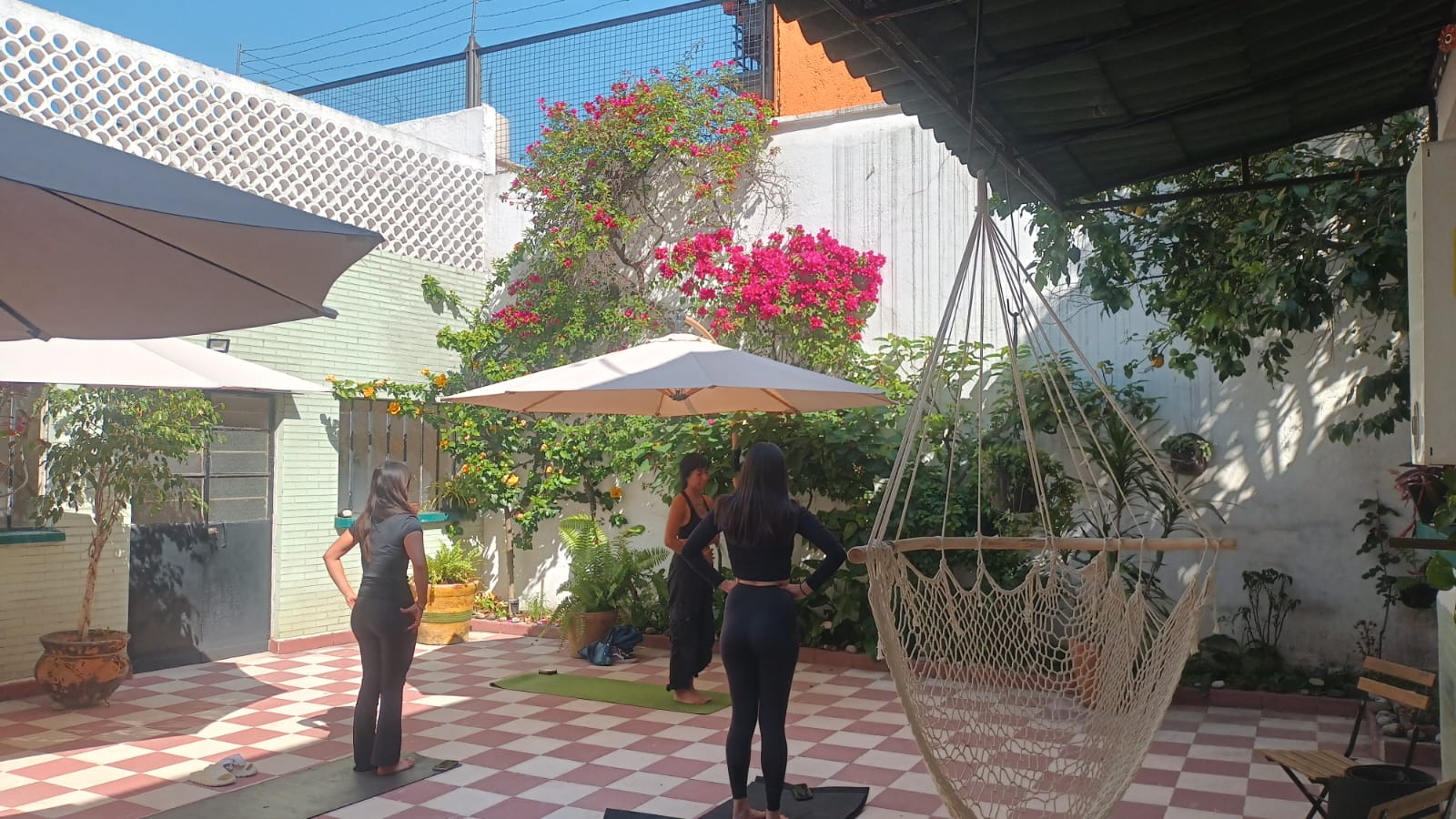 Vista previa