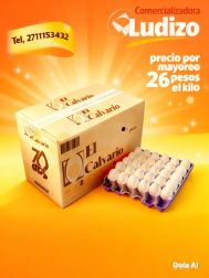 Comercializadora Ludizo