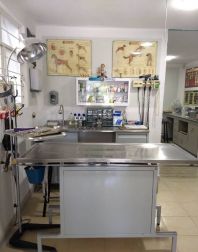 img_VeterinarianuevaaragonAND6QQ8Z8_1